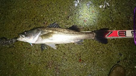 雨降りは素敵♪