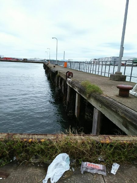 朝練アジングのはずが