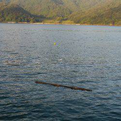 金曜日の仕事終わりの日課！