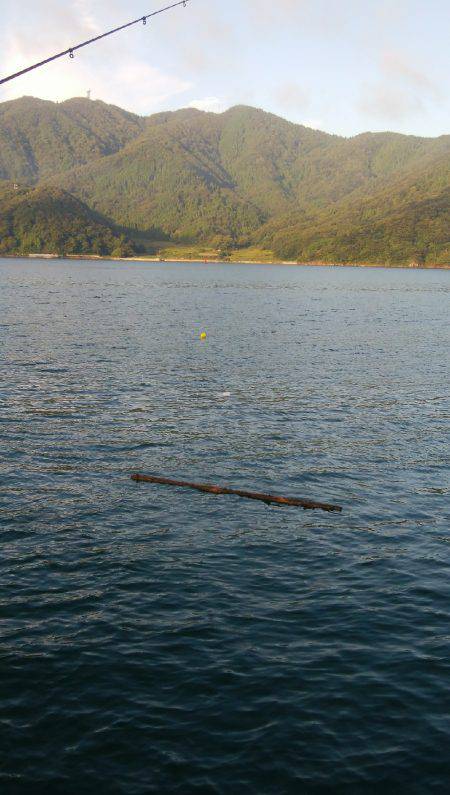 金曜日の仕事終わりの日課！