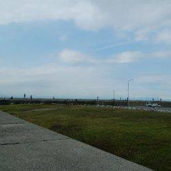 今日の大物は？？