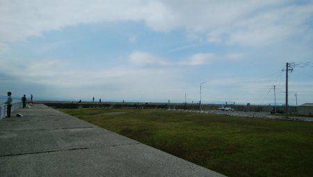 今日の大物は？？