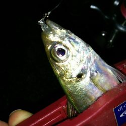 台風前の淡路島♪