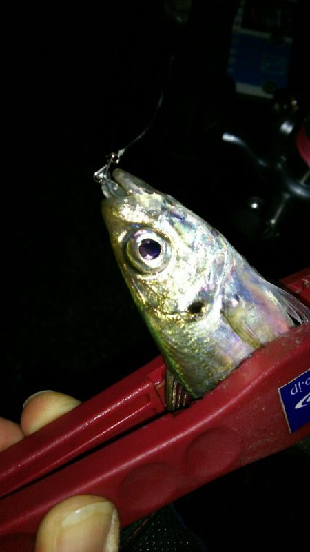 台風前の淡路島♪