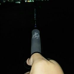 夕マヅメちょこっとアジング