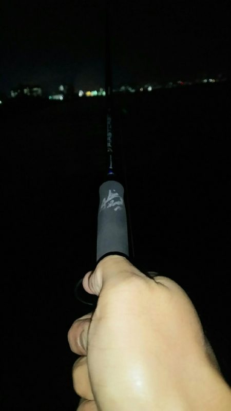 夕マヅメちょこっとアジング