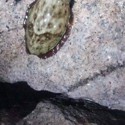 キープサイズが…