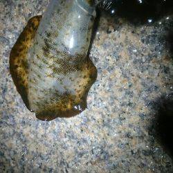 キープでけた。