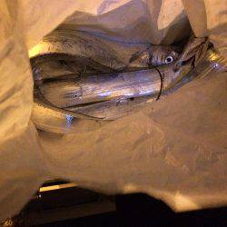 午前からの午後補講