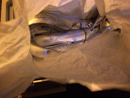 午前からの午後補講