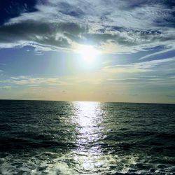 大里松原海岸  スマガツオ2匹 弓角