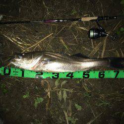 ジョイントルアー