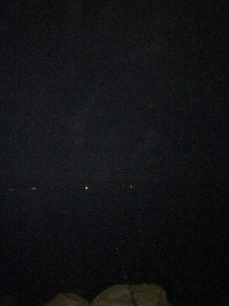 昨日届いたエギを試したくて