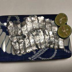 太刀魚  大潮  リタックル