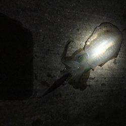 大潮、満月❗️