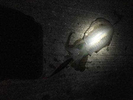 大潮、満月❗️