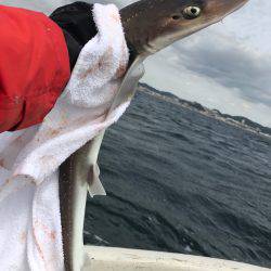 ボートで五目釣り！