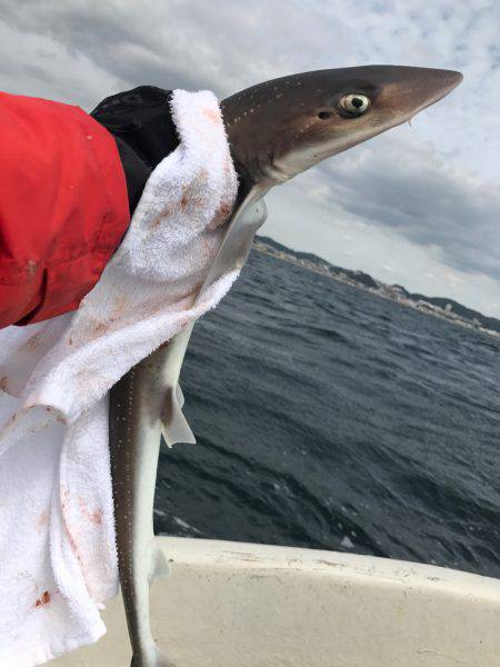 ボートで五目釣り！