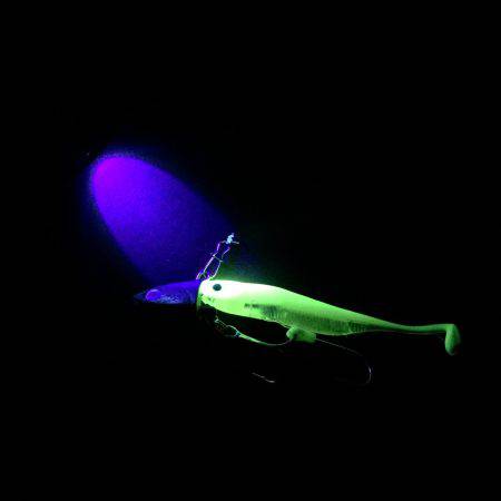 南港タチウオ 徐々に湾奥へ！