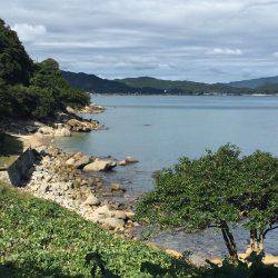 デイ・サーフエギング