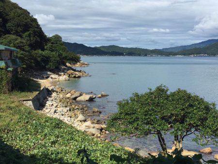 デイ・サーフエギング