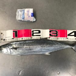 青木丸で大漁！