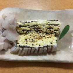 良く釣れました