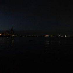 南港シーバス 高活性!