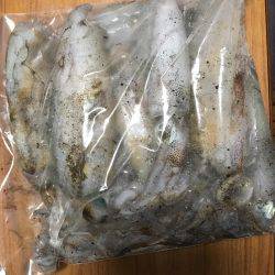 まったりエギング