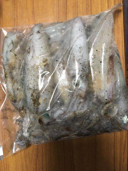 まったりエギング