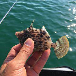 水温下がり過ぎ