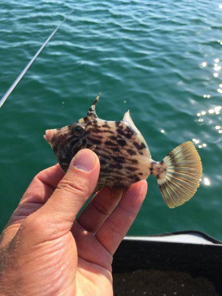 水温下がり過ぎ