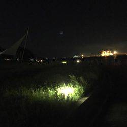 楽しい太刀魚釣り