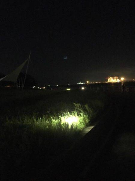 楽しい太刀魚釣り