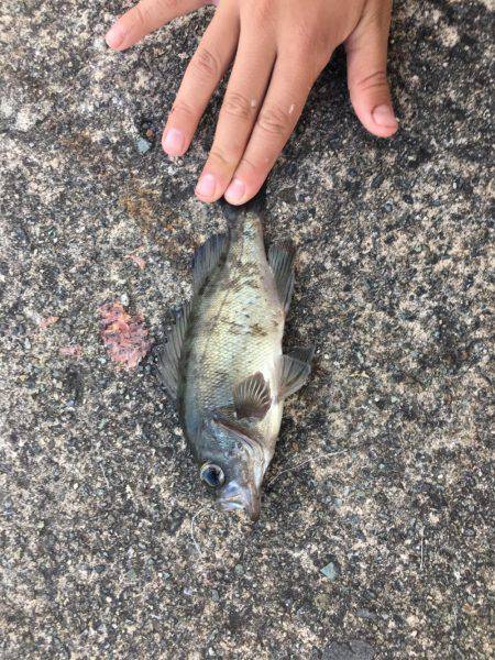 ファミリーフィッシング