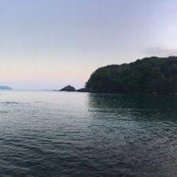 初エギングでまじ卍