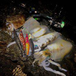 リベンジ果たせず…