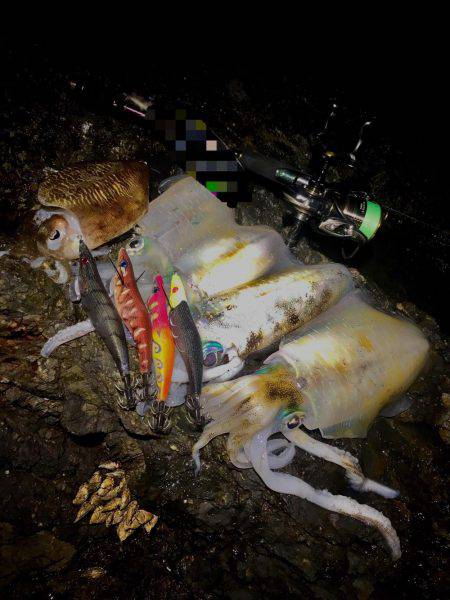 リベンジ果たせず…