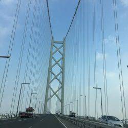 青物はどこだー