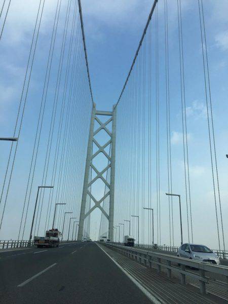 青物はどこだー