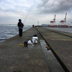 朝まづめショアジギング