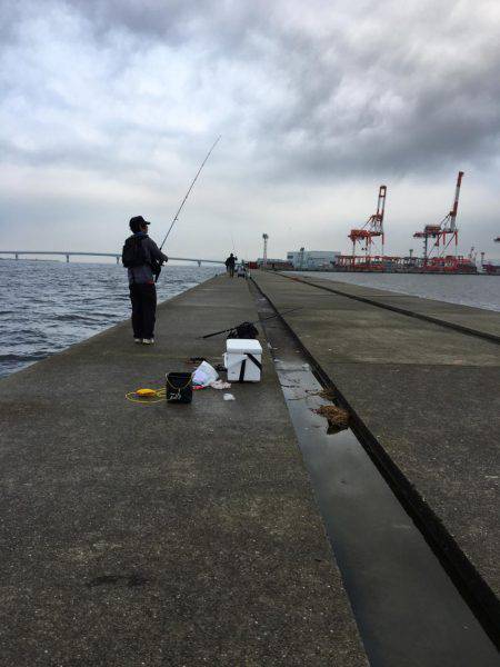 朝まづめショアジギング