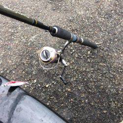 ショアジギング