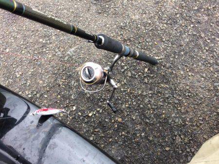 ショアジギング