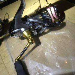 小アジ釣れています。