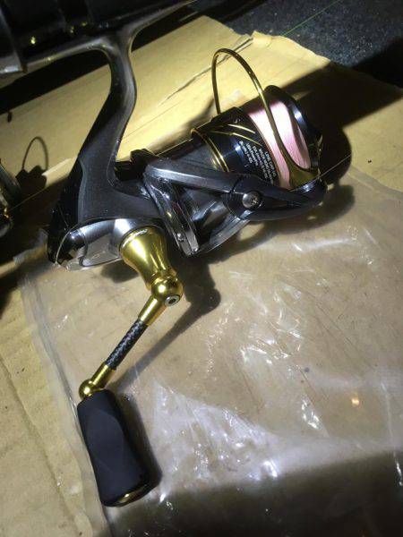 小アジ釣れています。