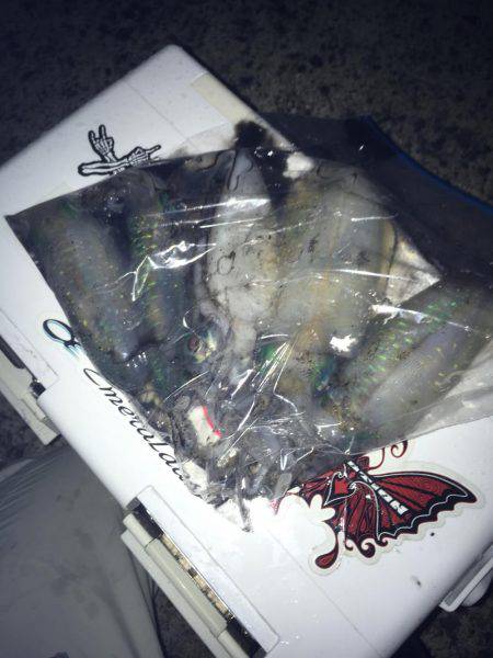 癒されに行ったはずが!