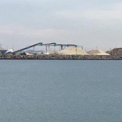 ドラゴン出ました！