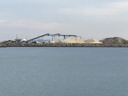 ドラゴン出ました！