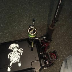 楽しく釣れました